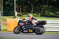 anglesey;brands-hatch;cadwell-park;croft;donington-park;enduro-digital-images;event-digital-images;eventdigitalimages;mallory;no-limits;oulton-park;peter-wileman-photography;racing-digital-images;silverstone;snetterton;trackday-digital-images;trackday-photos;vmcc-banbury-run;welsh-2-day-enduro